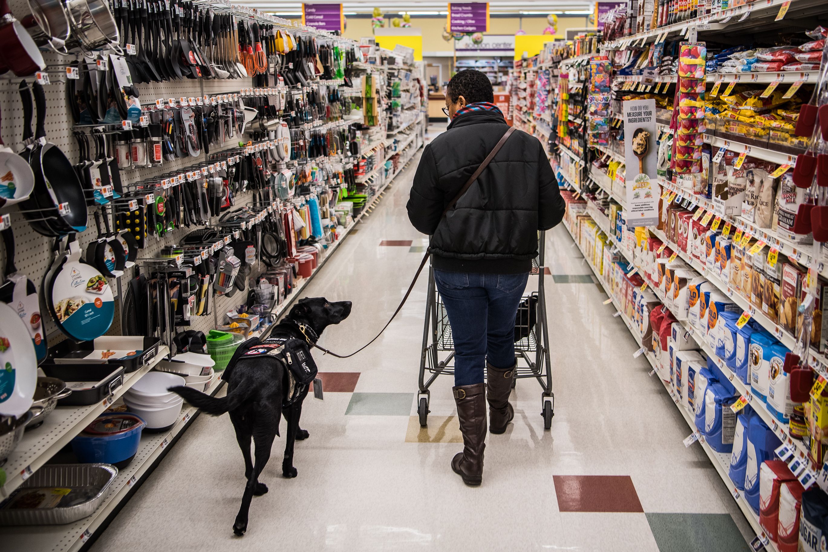 Can Service Dogs Go In Grocery Stores