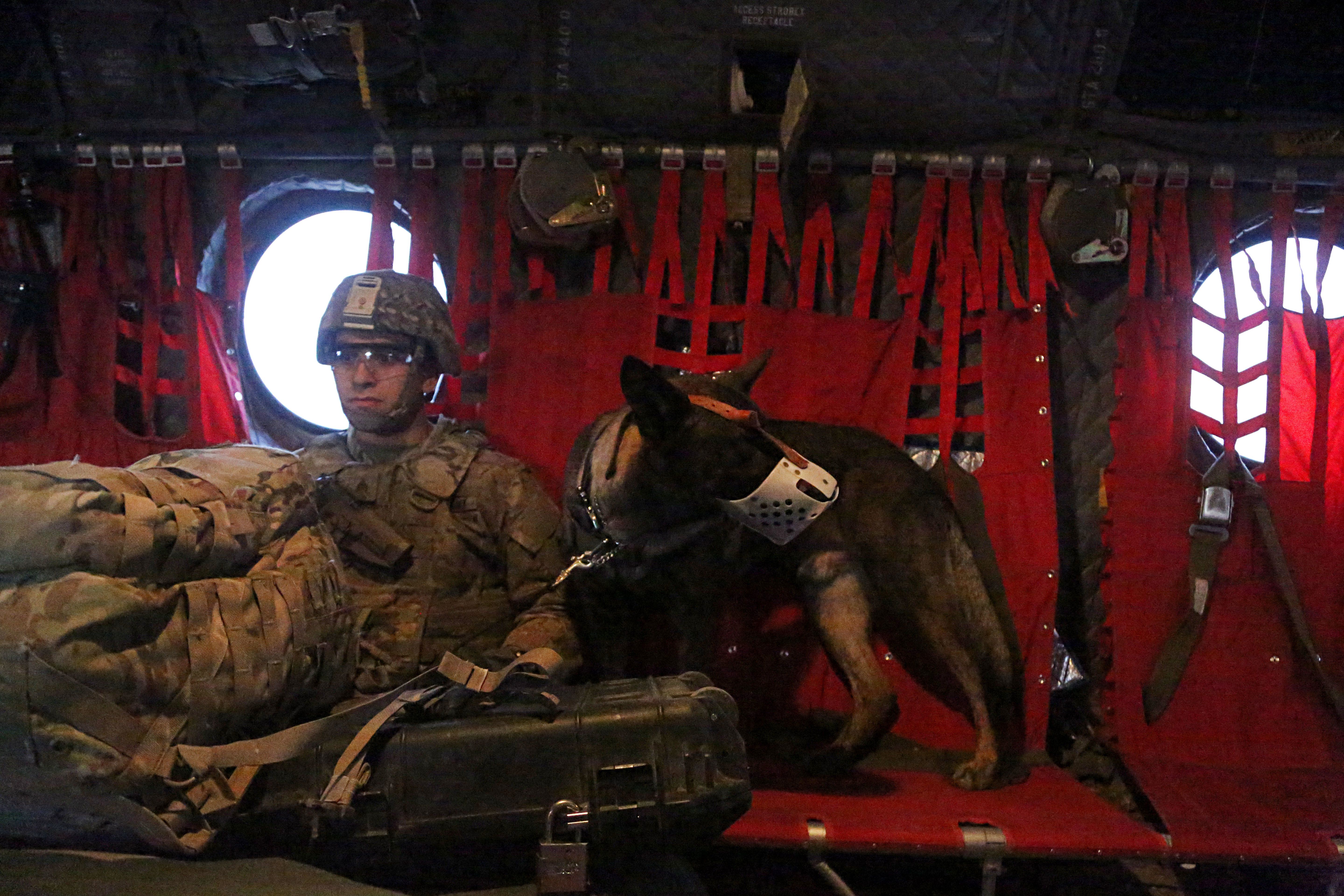 how many lives do military dogs save