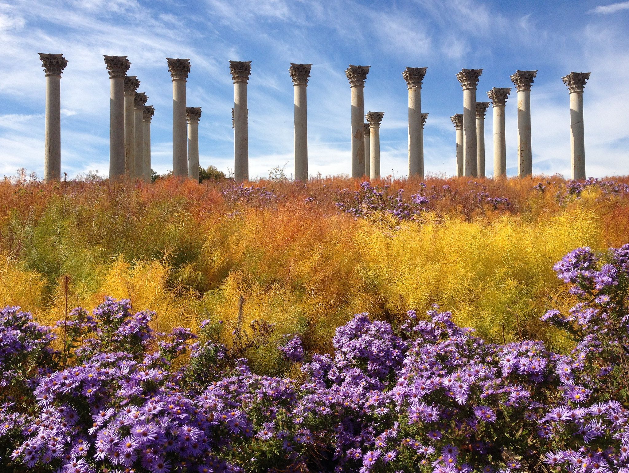 U.S. National Arboretum